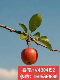 携程拿去花额度怎么提现出来（2种简单操作流程）商家在线分享