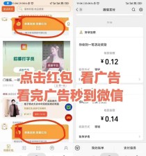 小小番茄，纯刷广告，自动打款